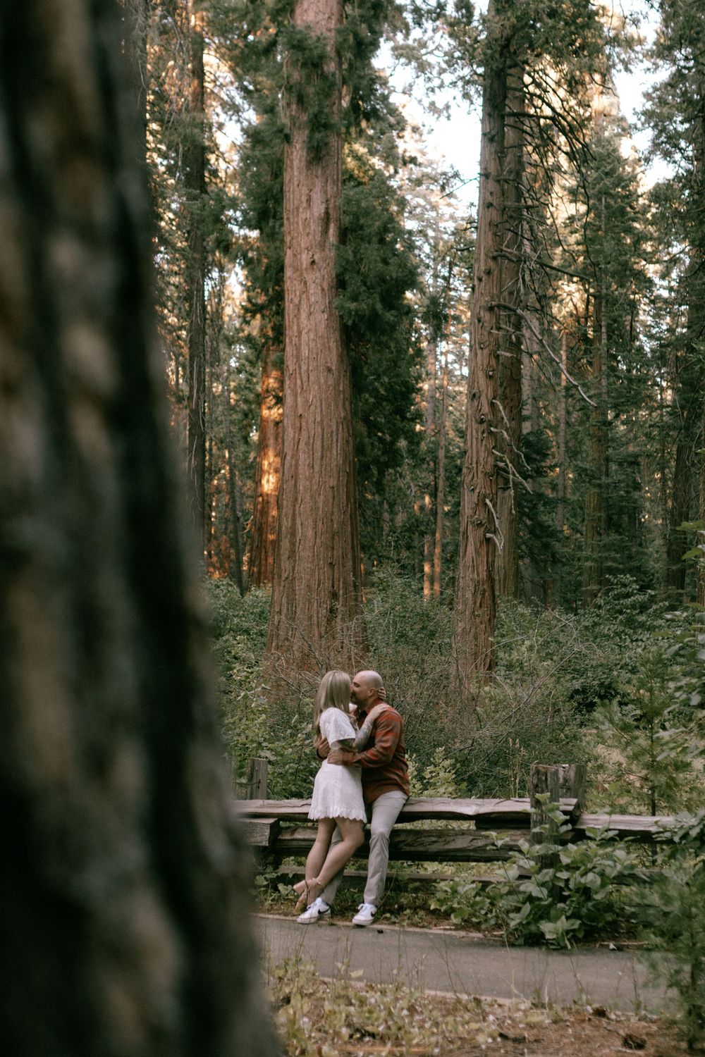 Two people sit together on a wooden bench surrounded by towering redwood trees in a peaceful forest setting.