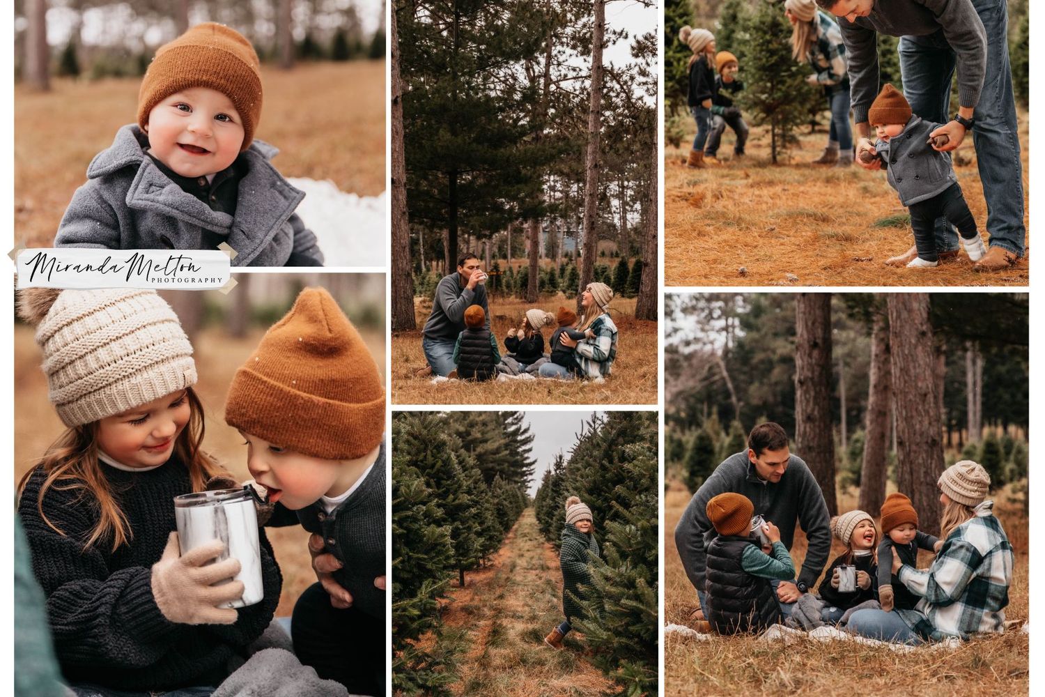 Collage of 6 photos of a family at a Christmas Tree Farm during winter in Minnesota.