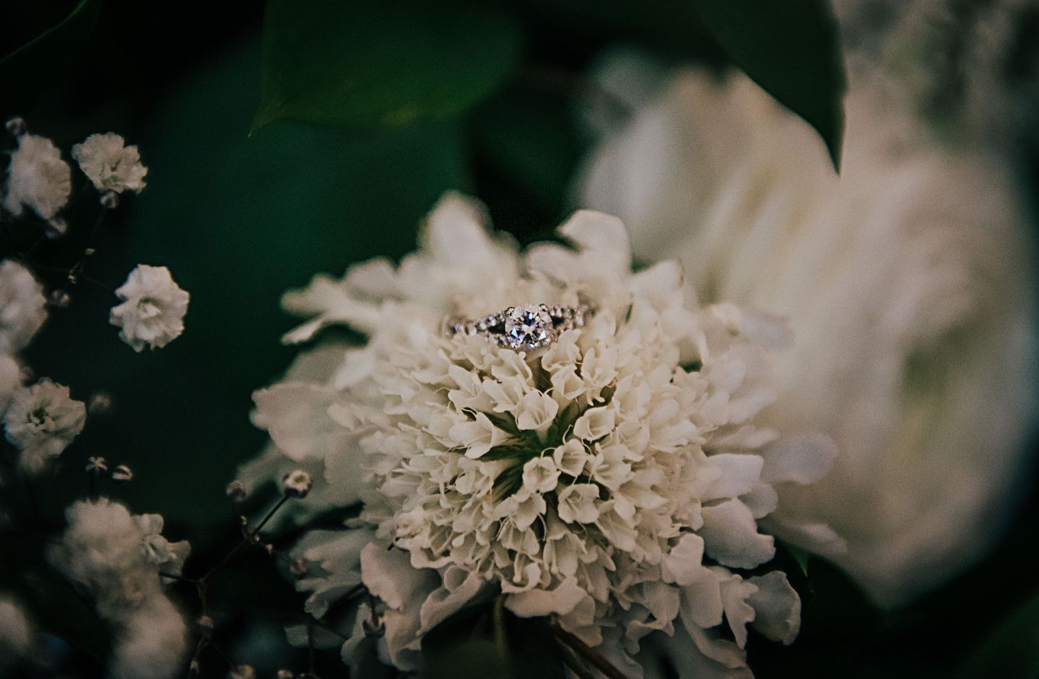 Soft focus white flowers create dreamy wedding atmosphere.