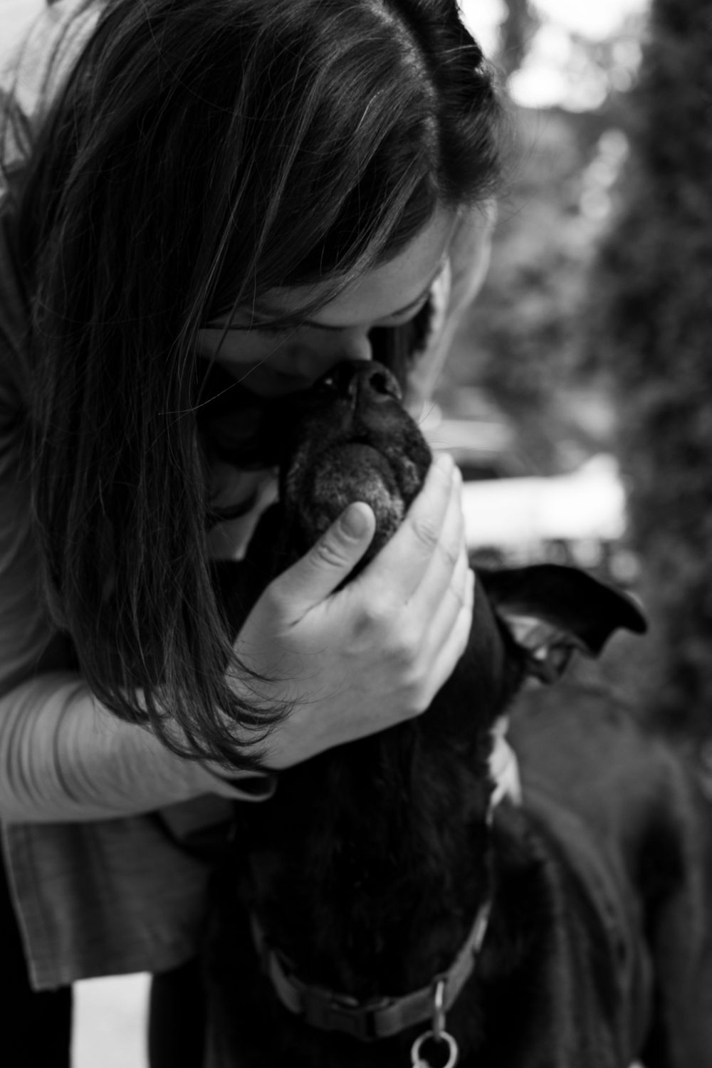 Black and white pet photography