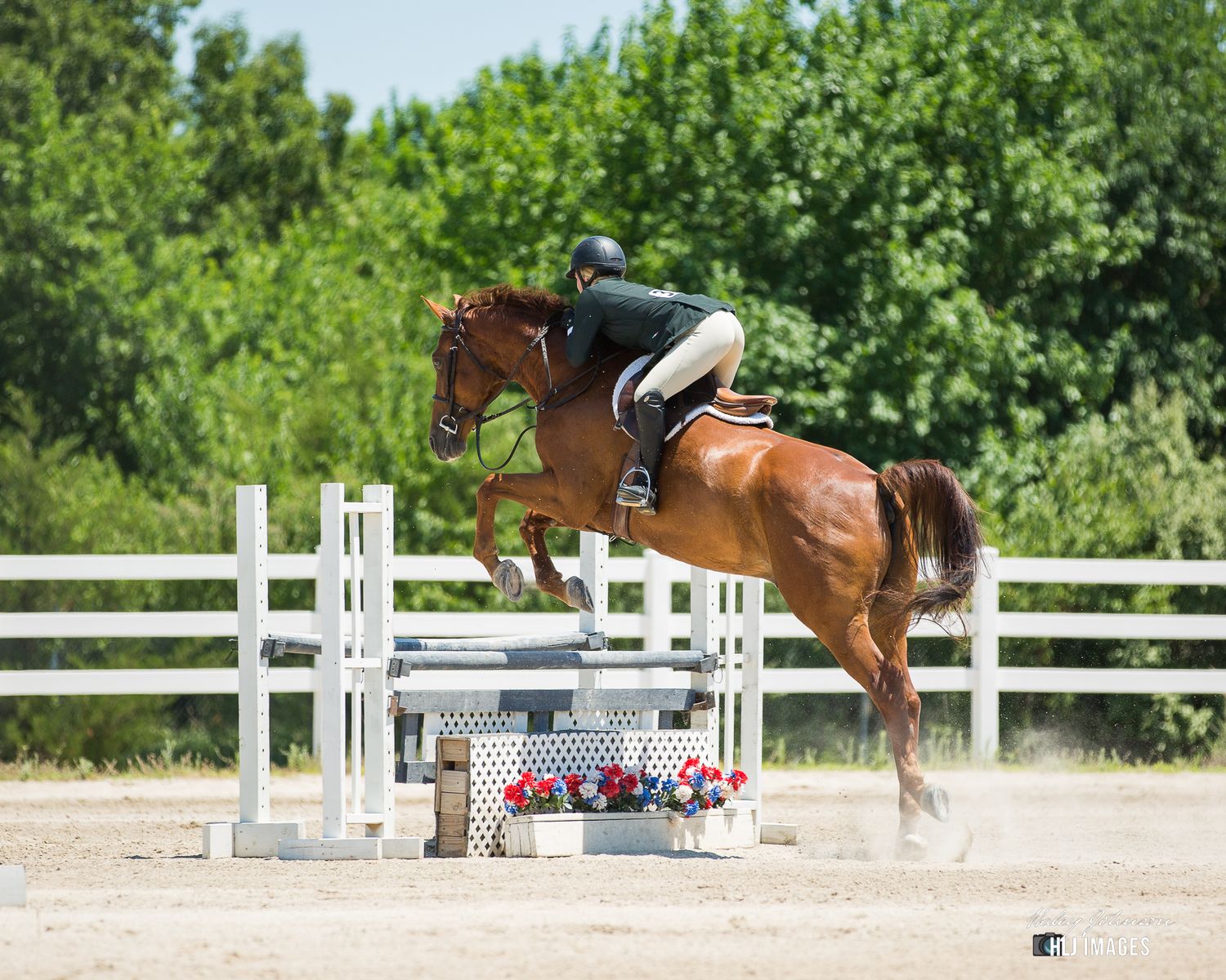 Horse and rider clearing jump during show jumping competition over white rails.
