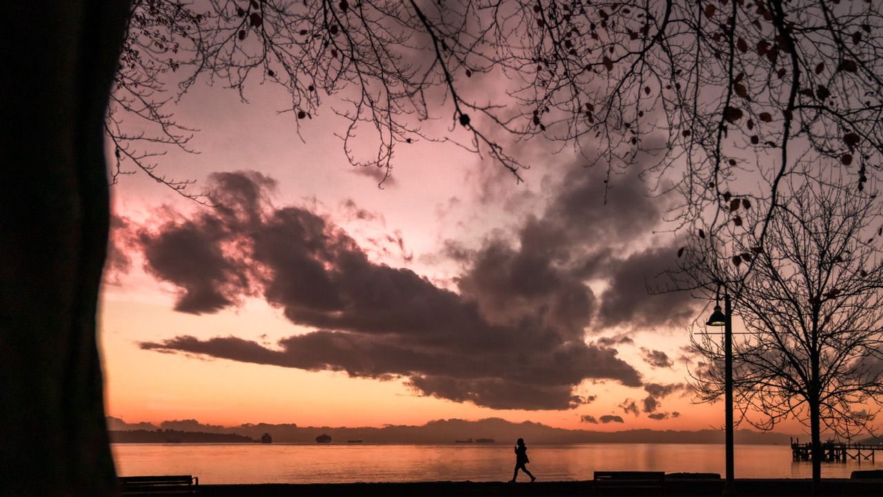 Dramatic pink and purple sunset over water with tree silhouette, Ambleside west Vancouver waterfront