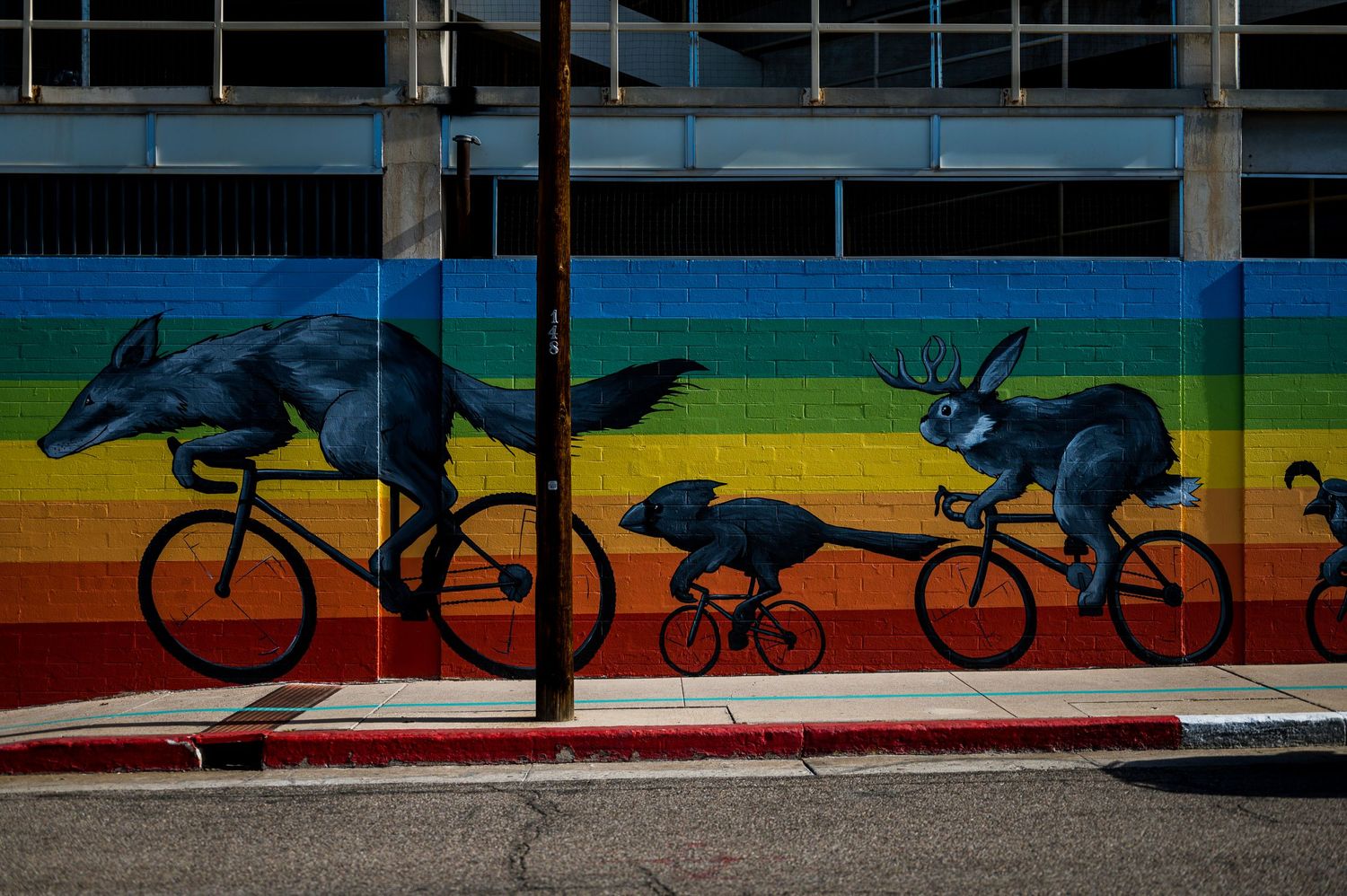 Tucson is filled with murals, lets plan a mural photo shoot.