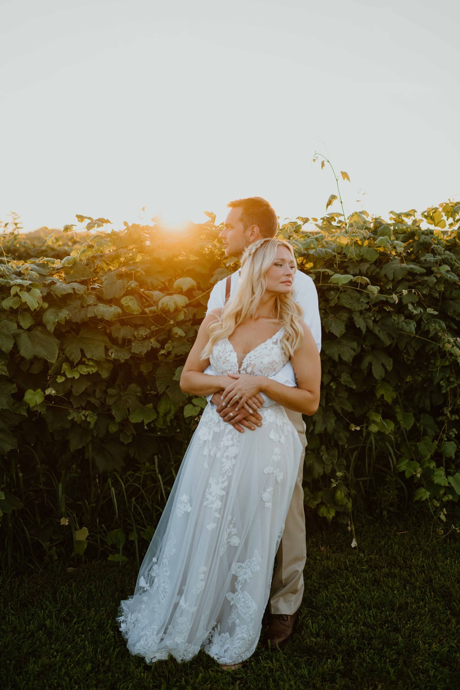 Groom embraces bride from behind in a vineyard as golden sunset light glows behind them.