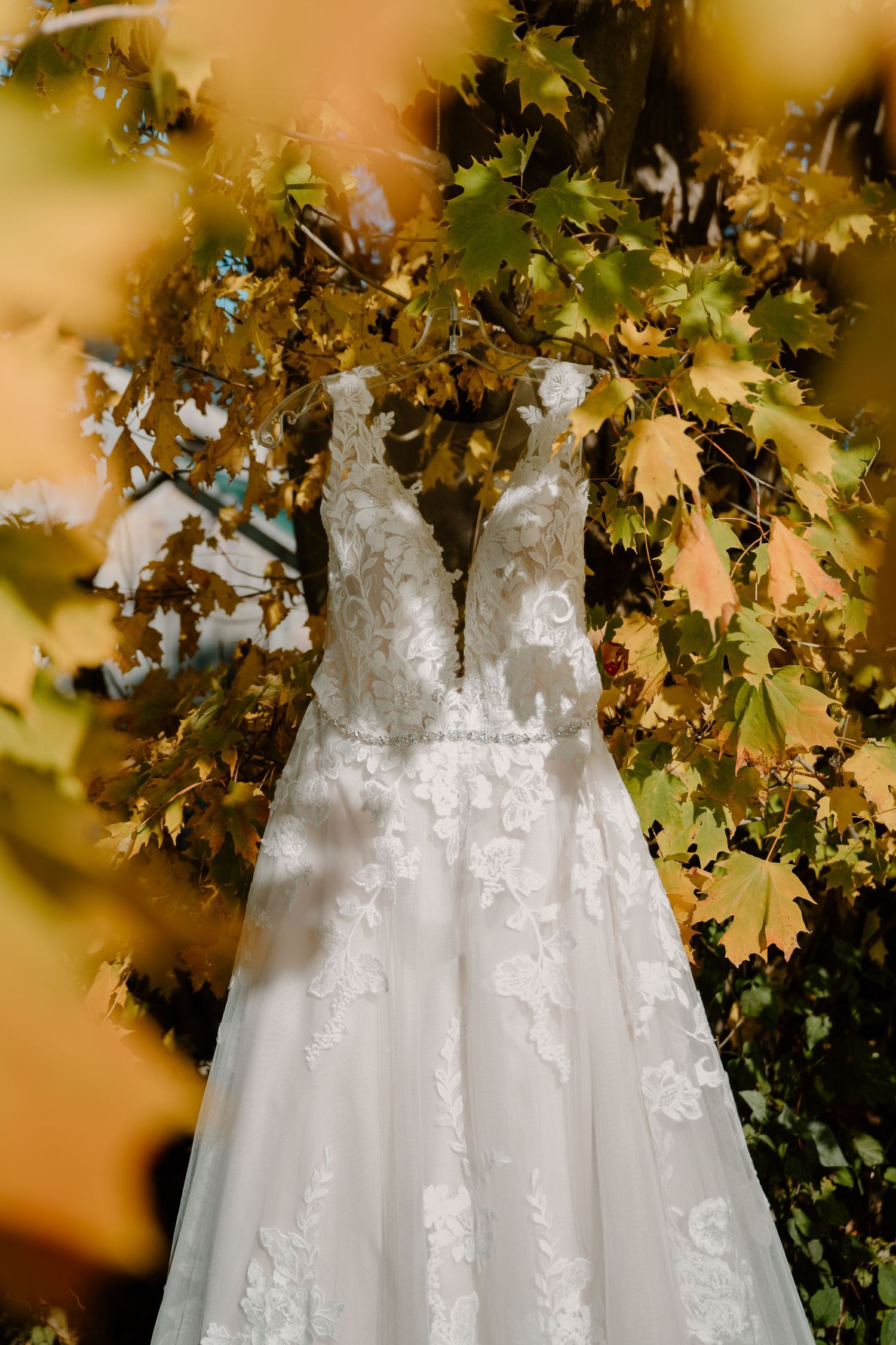 Beautiful white lace wedding dress with floral appliques hanging from vibrant yellow autumn maple tree.