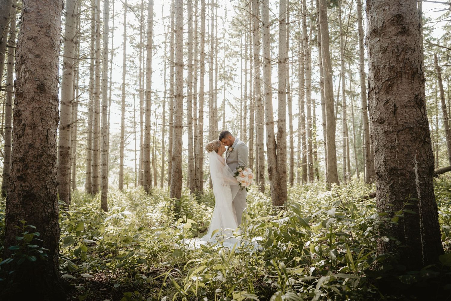 Bride and groom share a romantic kiss surrounded by tall trees and lush greenery in an enchanting forest wedding photo.