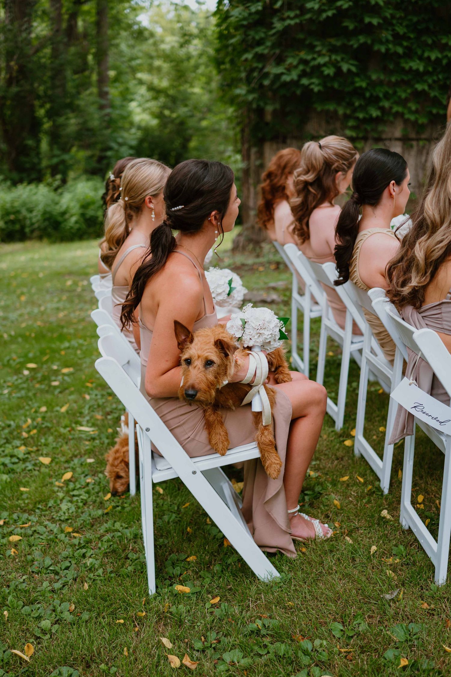 Bridesmaids in blush gowns seated at outdoor wedding ceremony with a golden dog on one lap.