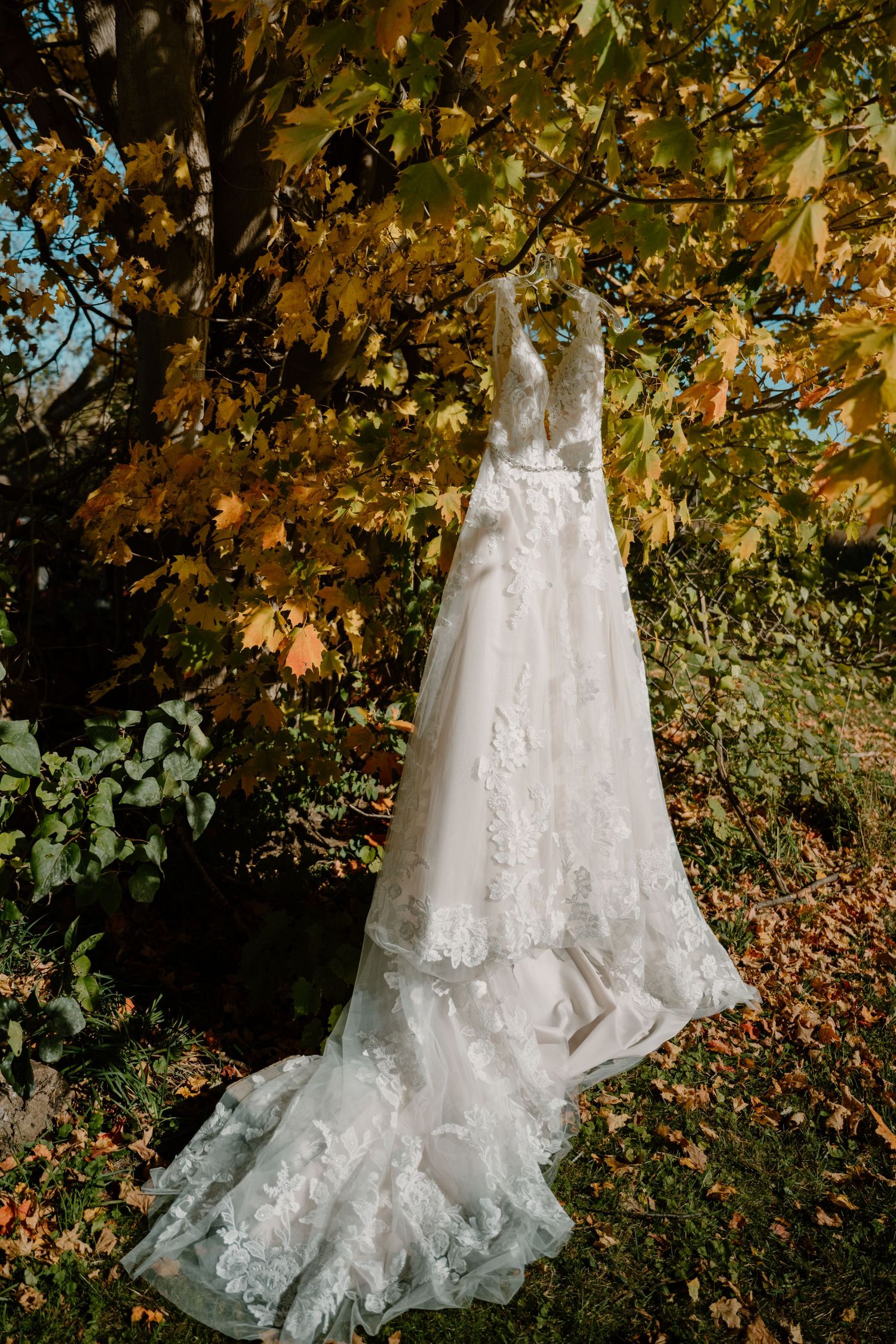 Romantic white lace bridal gown with long train hanging from golden autumn tree in garden setting.