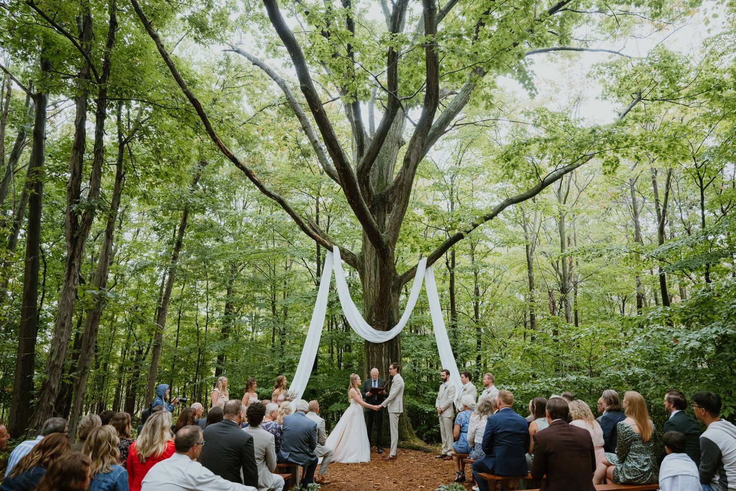 Romantic outdoor forest wedding ceremony under large tree draped with white fabric.