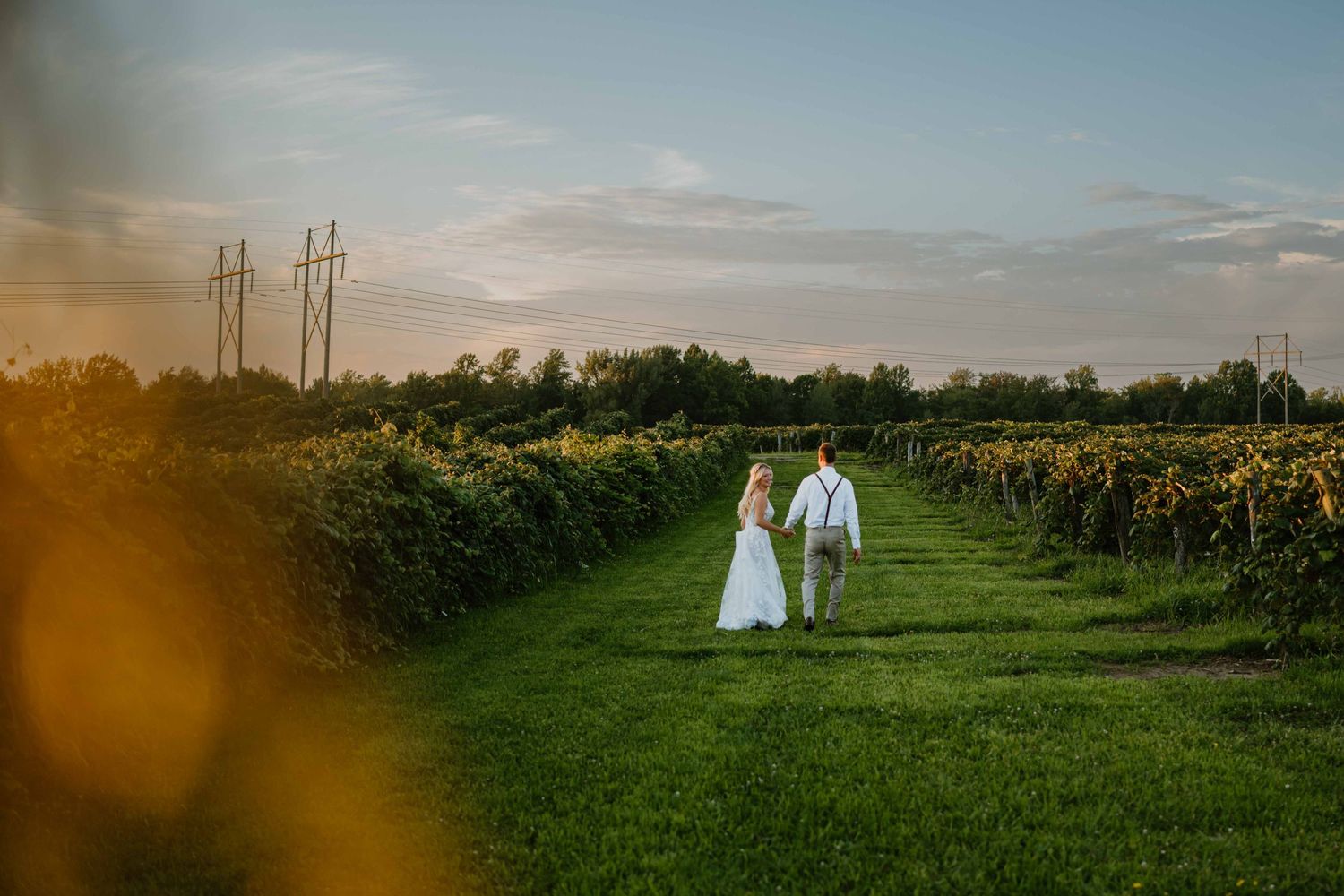 Bride and groom walk hand in hand down a green vineyard path at golden hour.