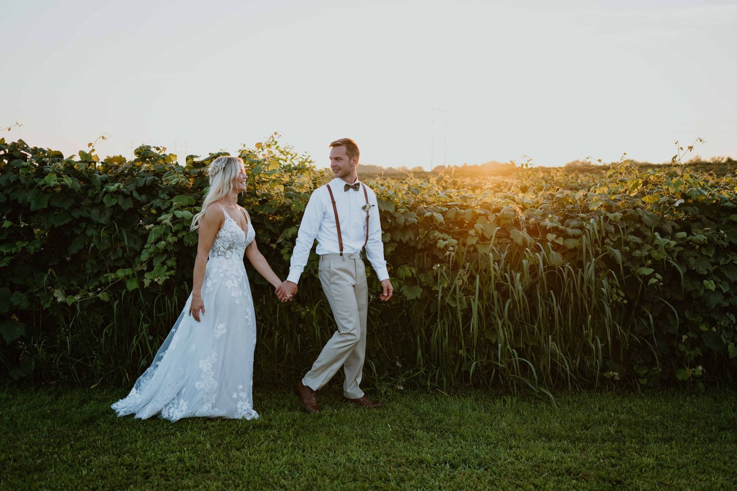 Bride and groom walk hand in hand along a sunlit vineyard row at sunset.