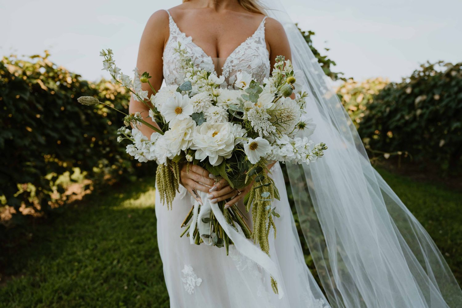 Bride holding lush white bouquet of dahlias and greenery in vineyard wearing lace wedding gown.