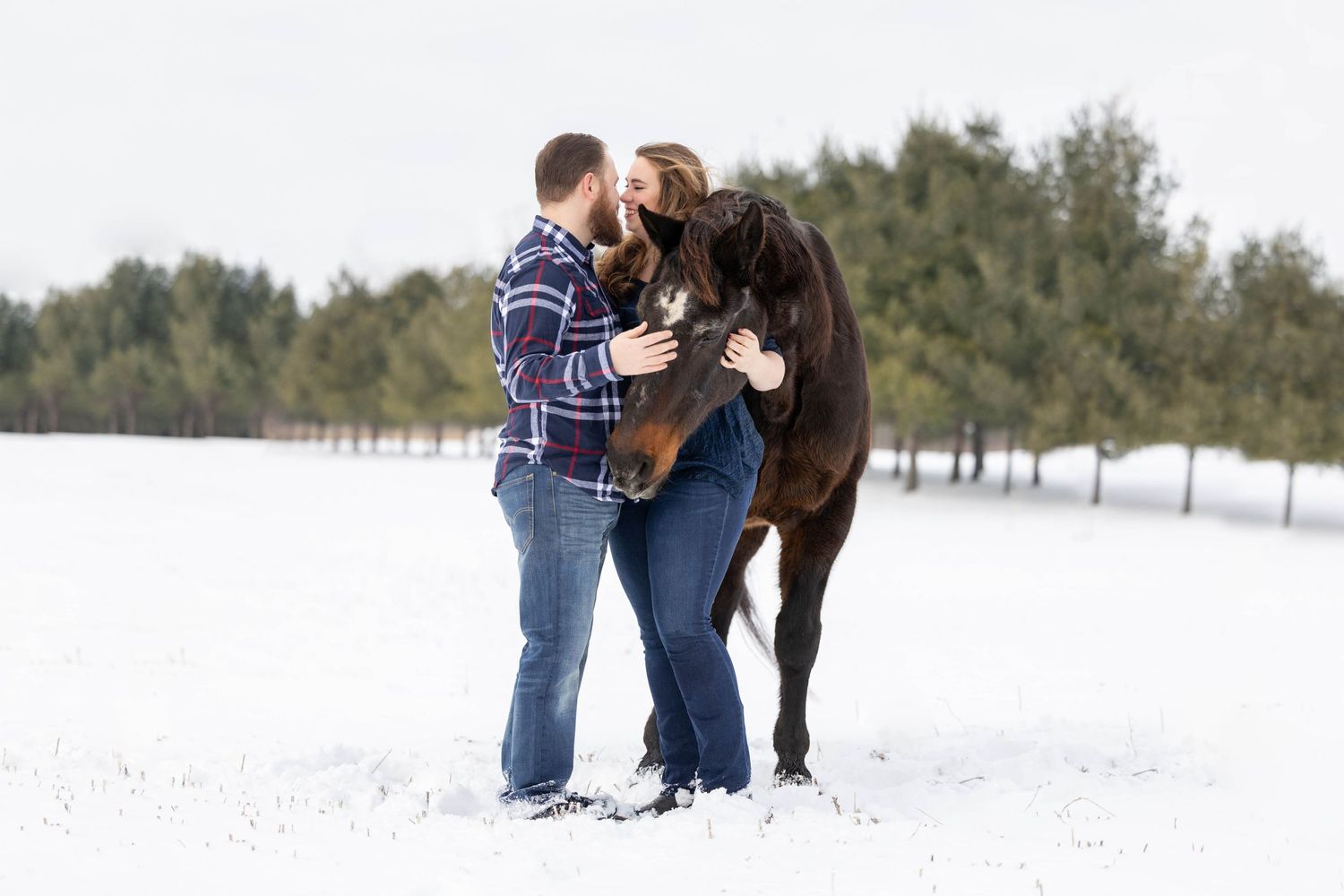Girl and Guy with large bay horse in a winter landscape