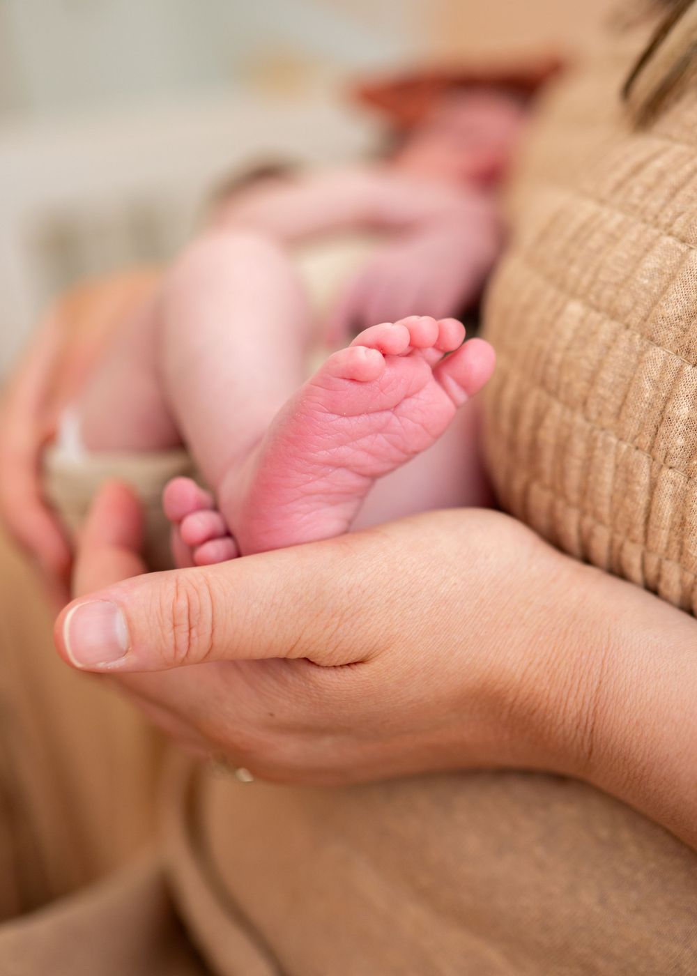 Close-up of tiny newborn feet being gently cradled in adult hands.
