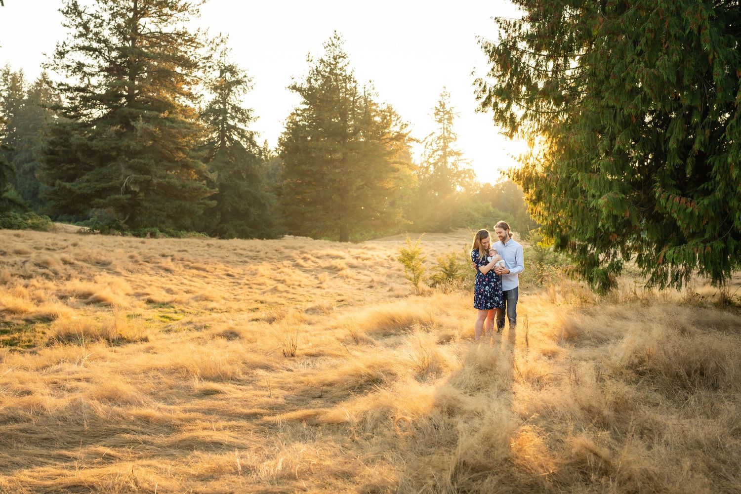 Parents snuggling with newborn daughter in a field at sunset.