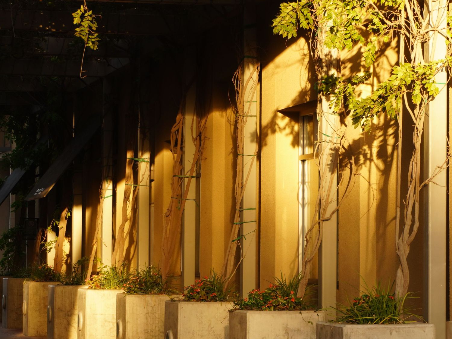 landscape photographer
Fresno photographer