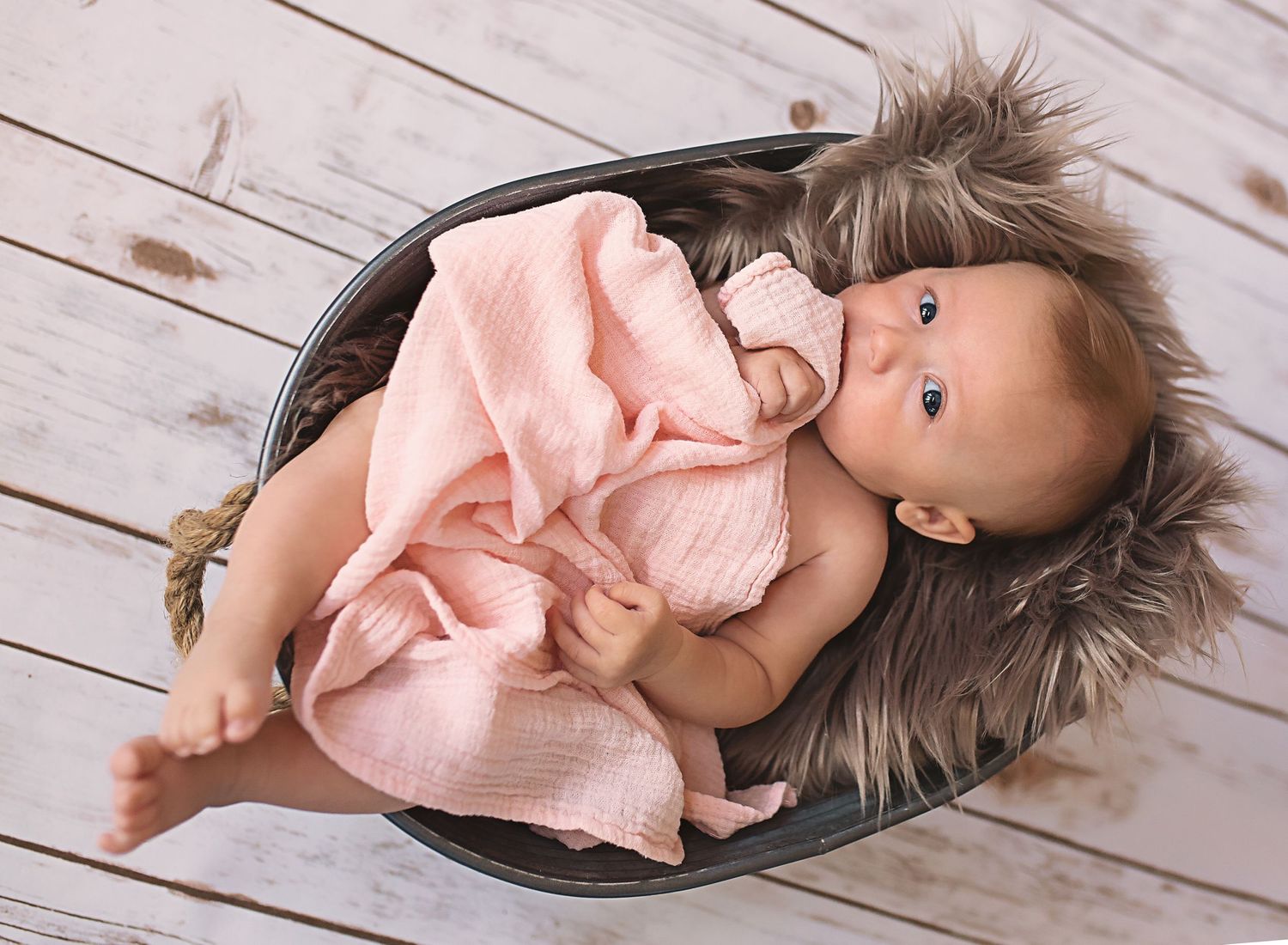Parker Colorado Newborn Photography