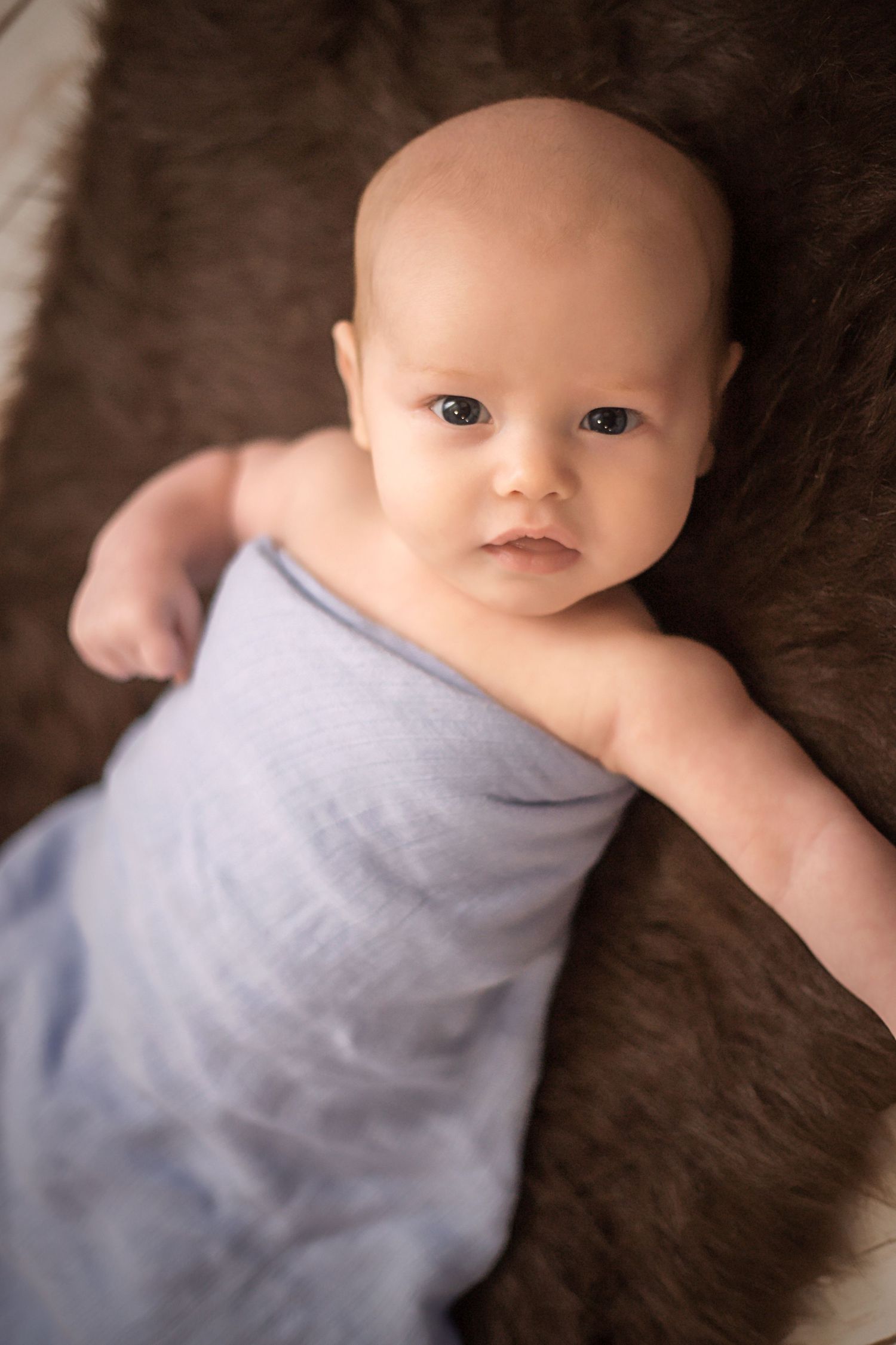 Denver Metro Newborn Photographer