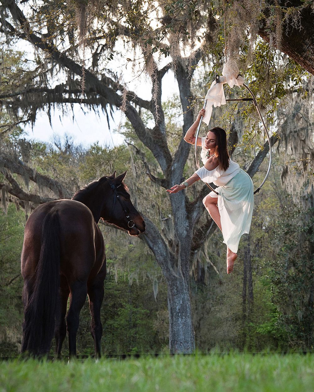 Floating Equestrian Ocala Fl