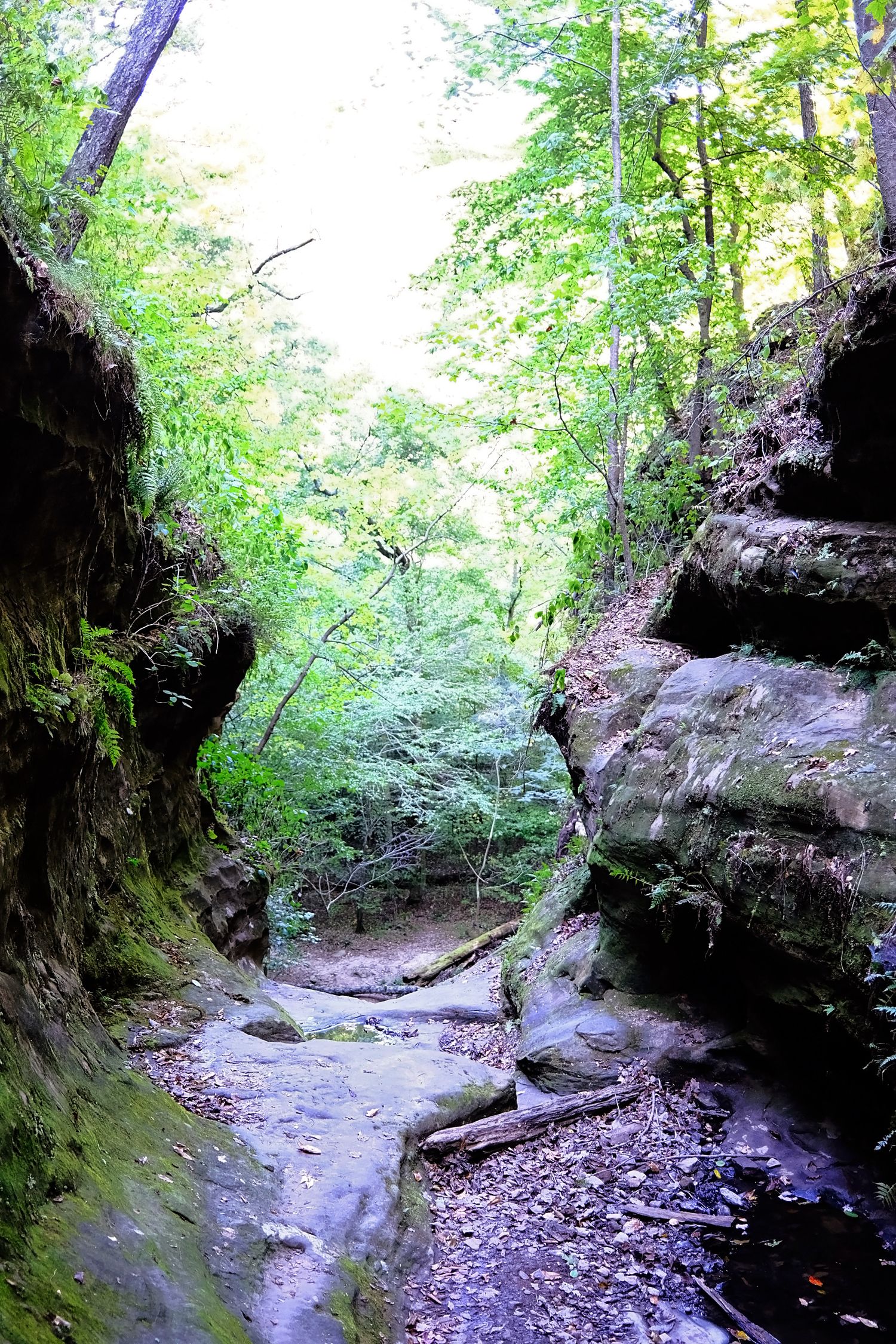 A steep climb