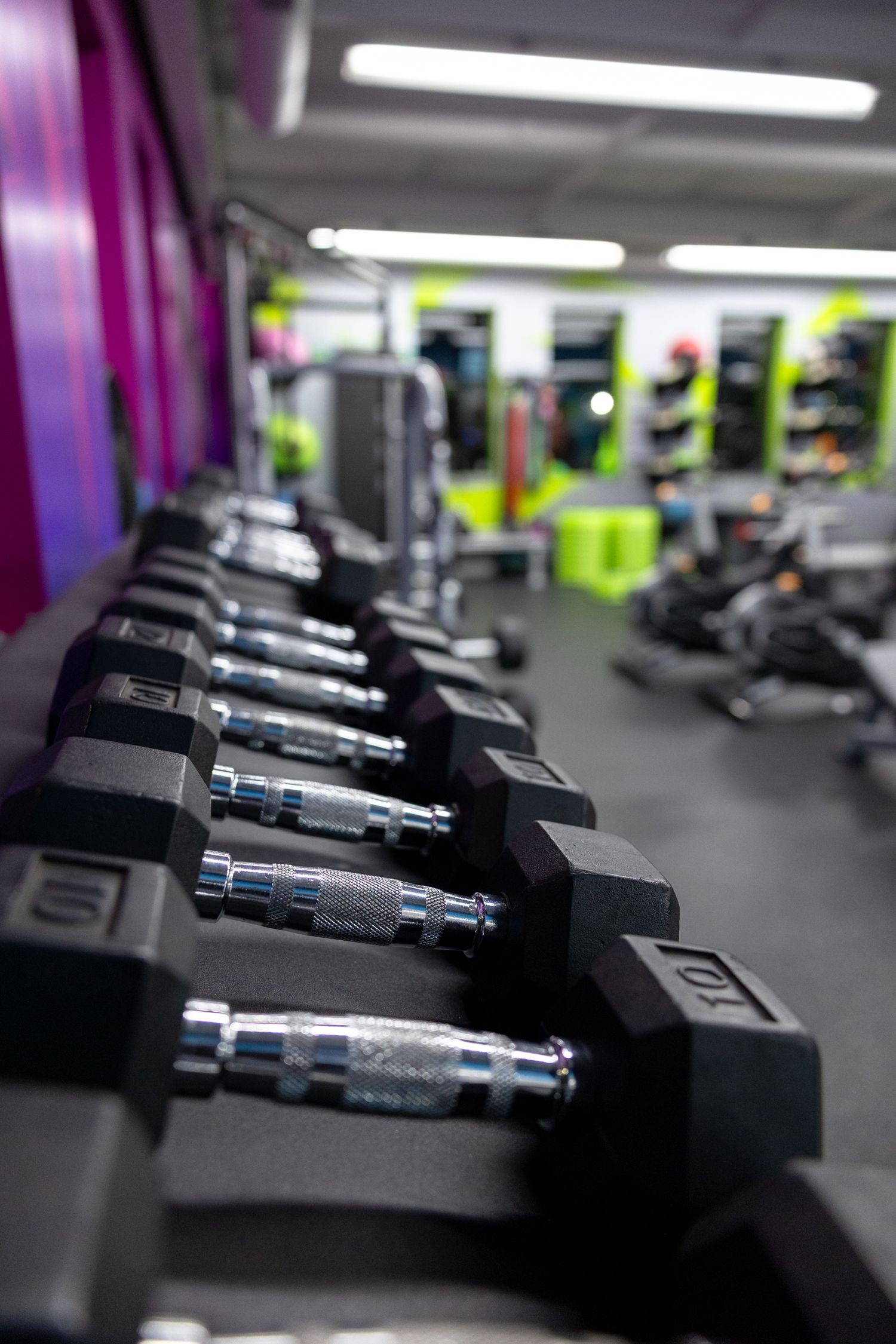 A row of black rubber hex dumbbells on a rack in a modern gym with colorful green and purple decor.