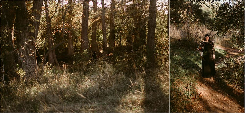 Artistic diptych of woodland scenes with natural lighting and forest paths.