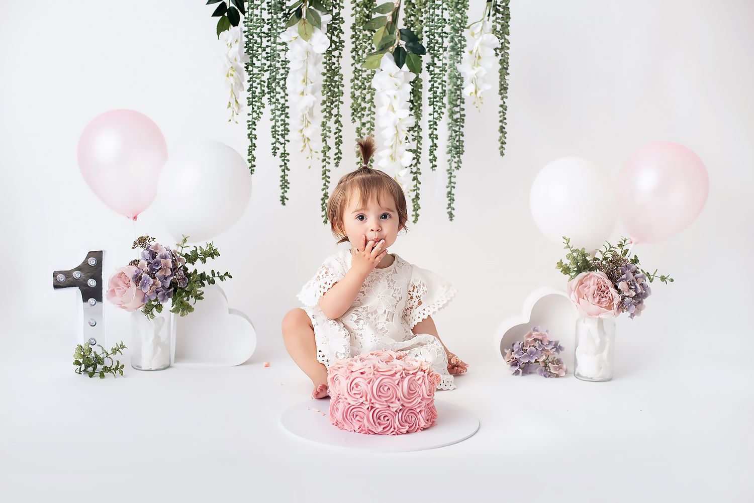 whakatane cakesmash photographer