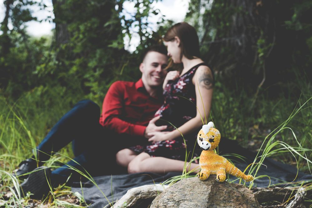 Photographe famille mariage maternité Québec