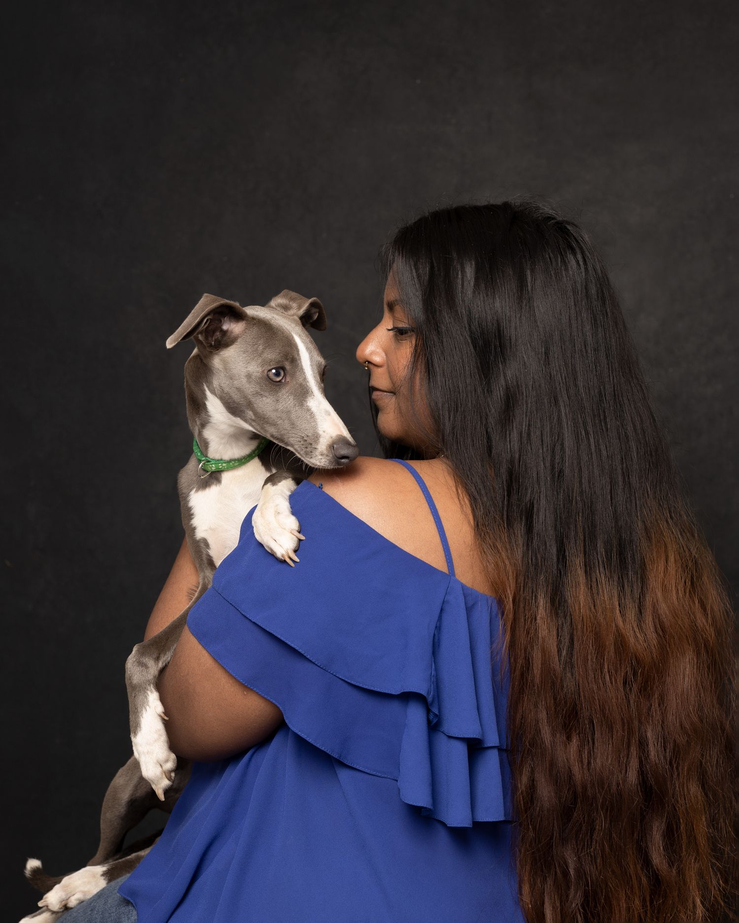 Dog and me, Italian hound, Lurcher, Studio Pets, Dog's photographer, Northampton. www.elenabrownportraits.co.uk