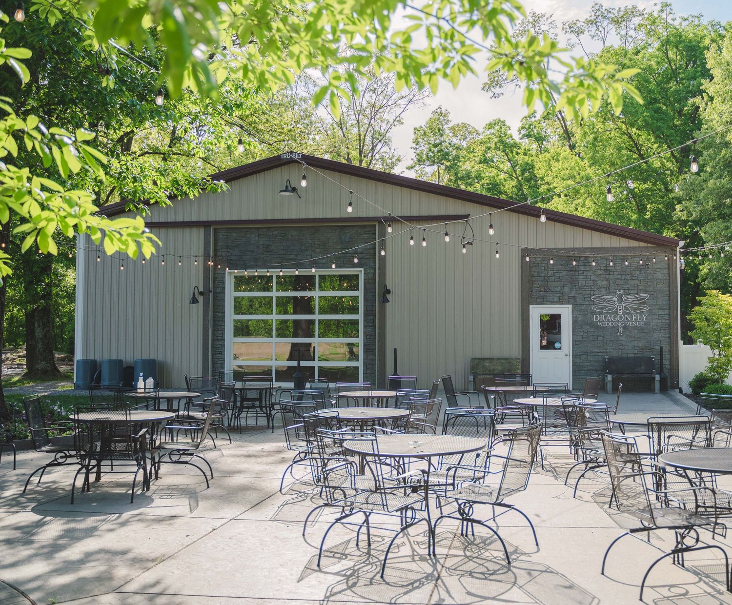 Dragonfly Wedding Venue by Mandy Kline Photography 3