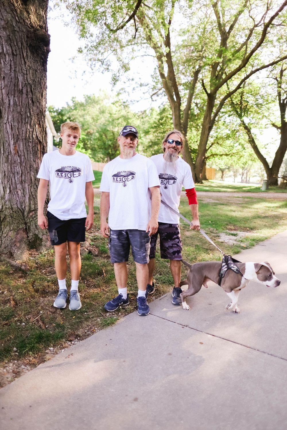 A group walking dogs on leashes along a paved park pathway.