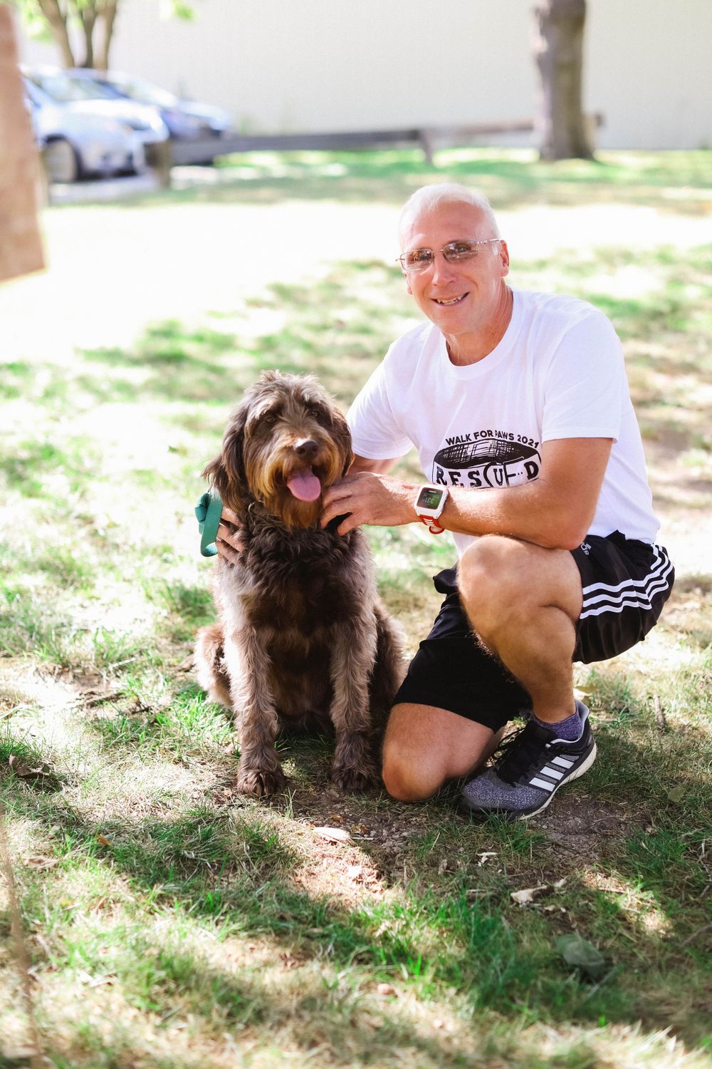 A small brown dog sits with companions on grass in dappled sunlight.