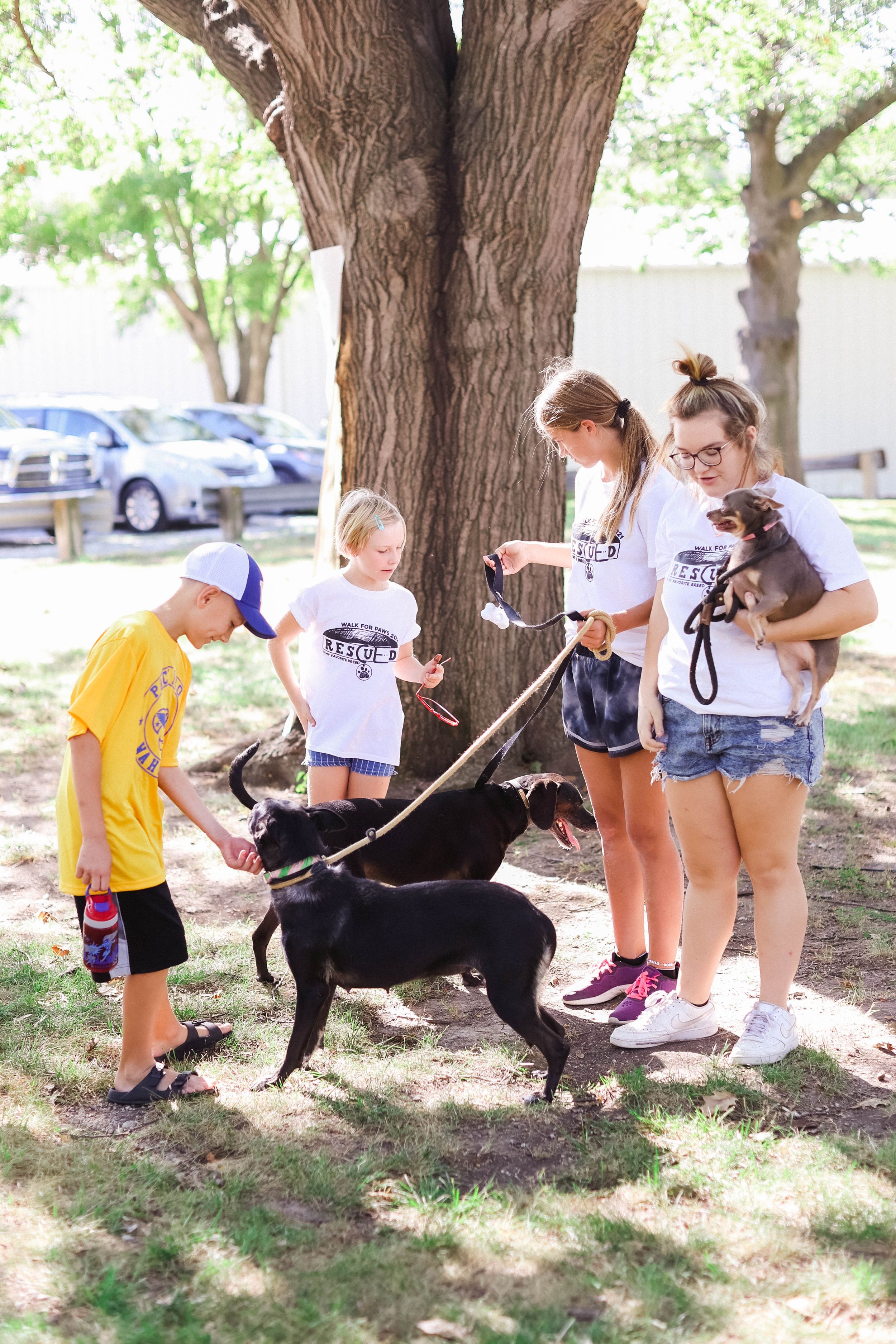 Children and adults interact with dogs under shady trees at an outdoor event.