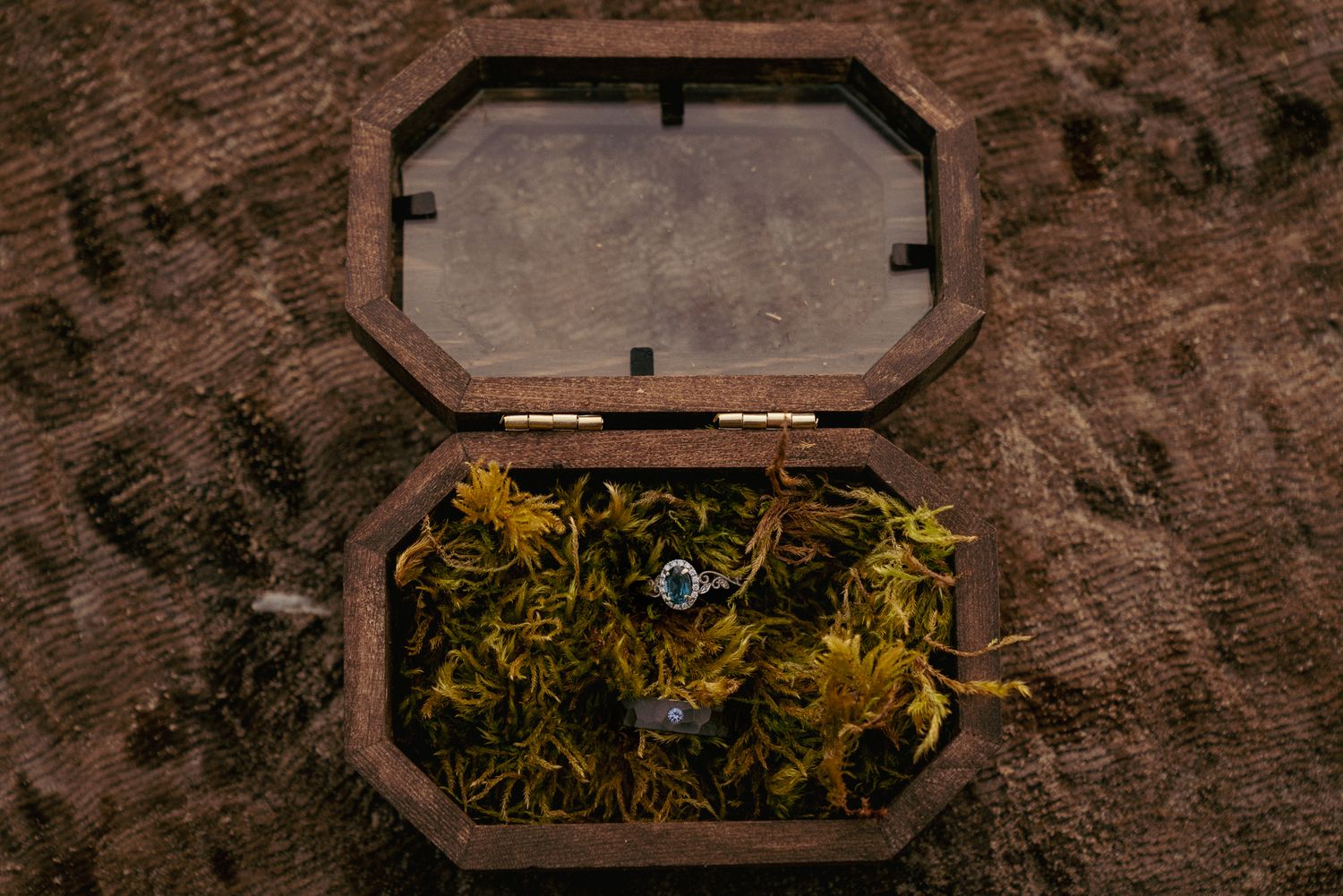 Close-up of unique wooden ring box with moss, rustic PNW vibe.