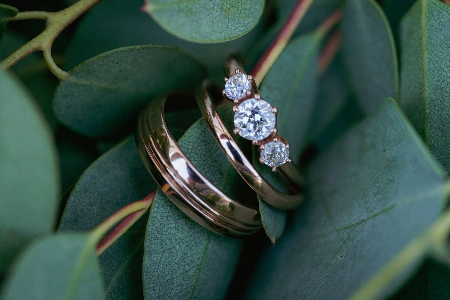 Trio of rings on green leaves, elegant Oregon wedding detail.