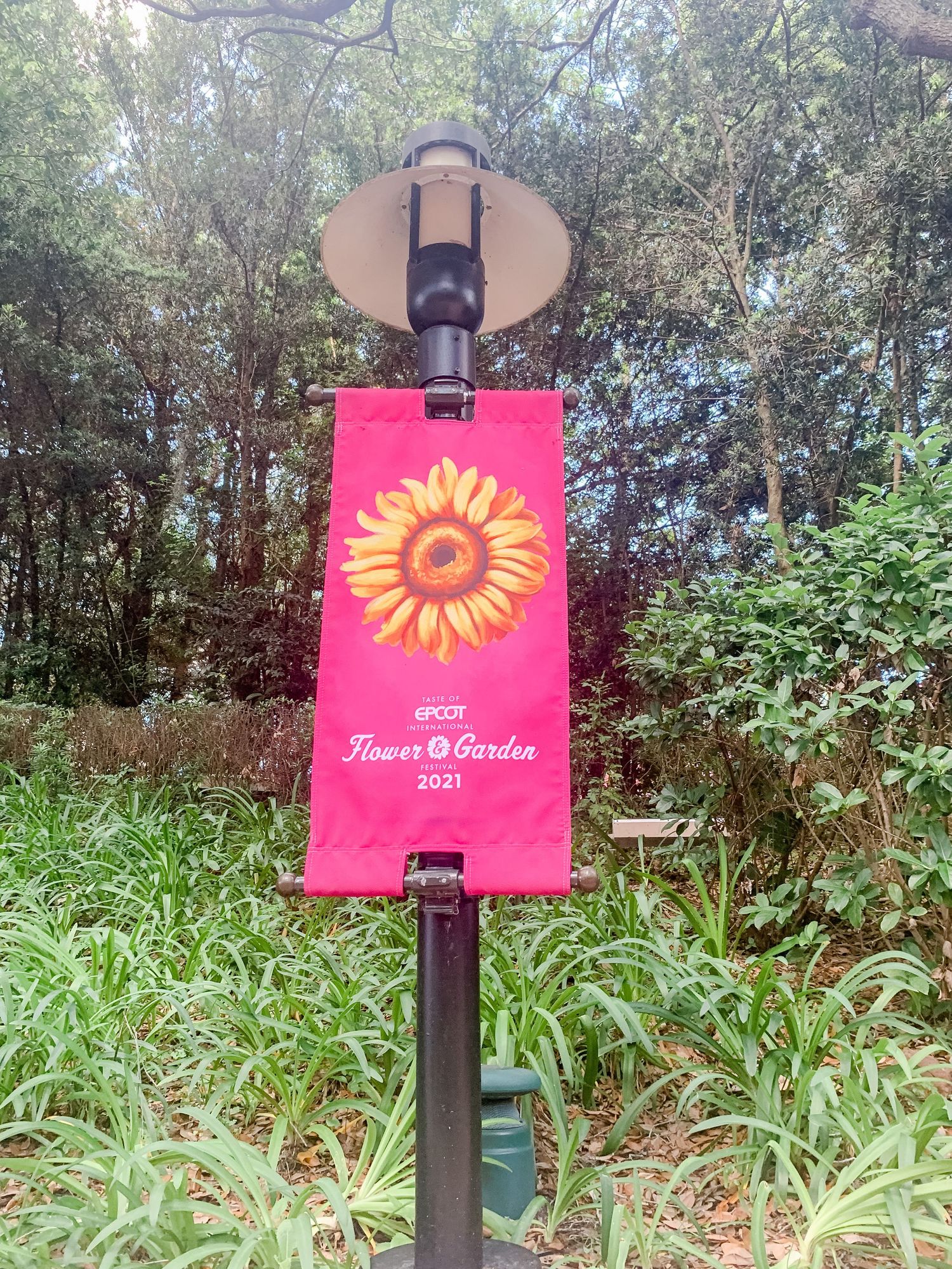 Pink sunflower garden sign displayed among green foliage in an outdoor setting.