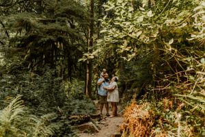 Lush green forest path winding through dense summer foliage.