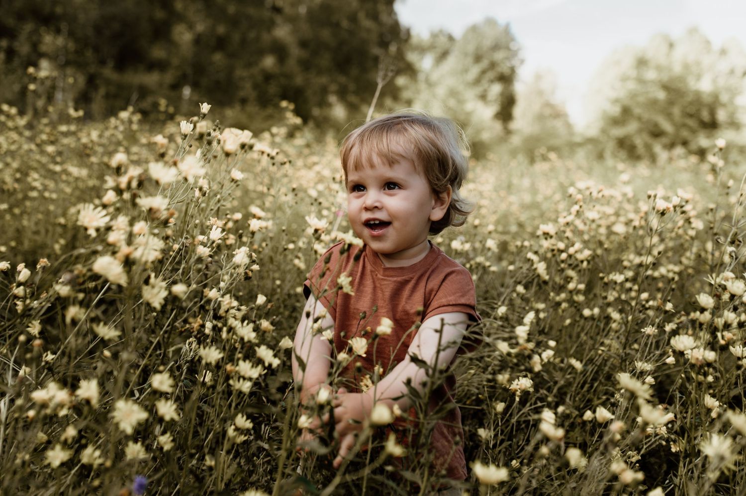 Liten pojke på en äng med blommor.