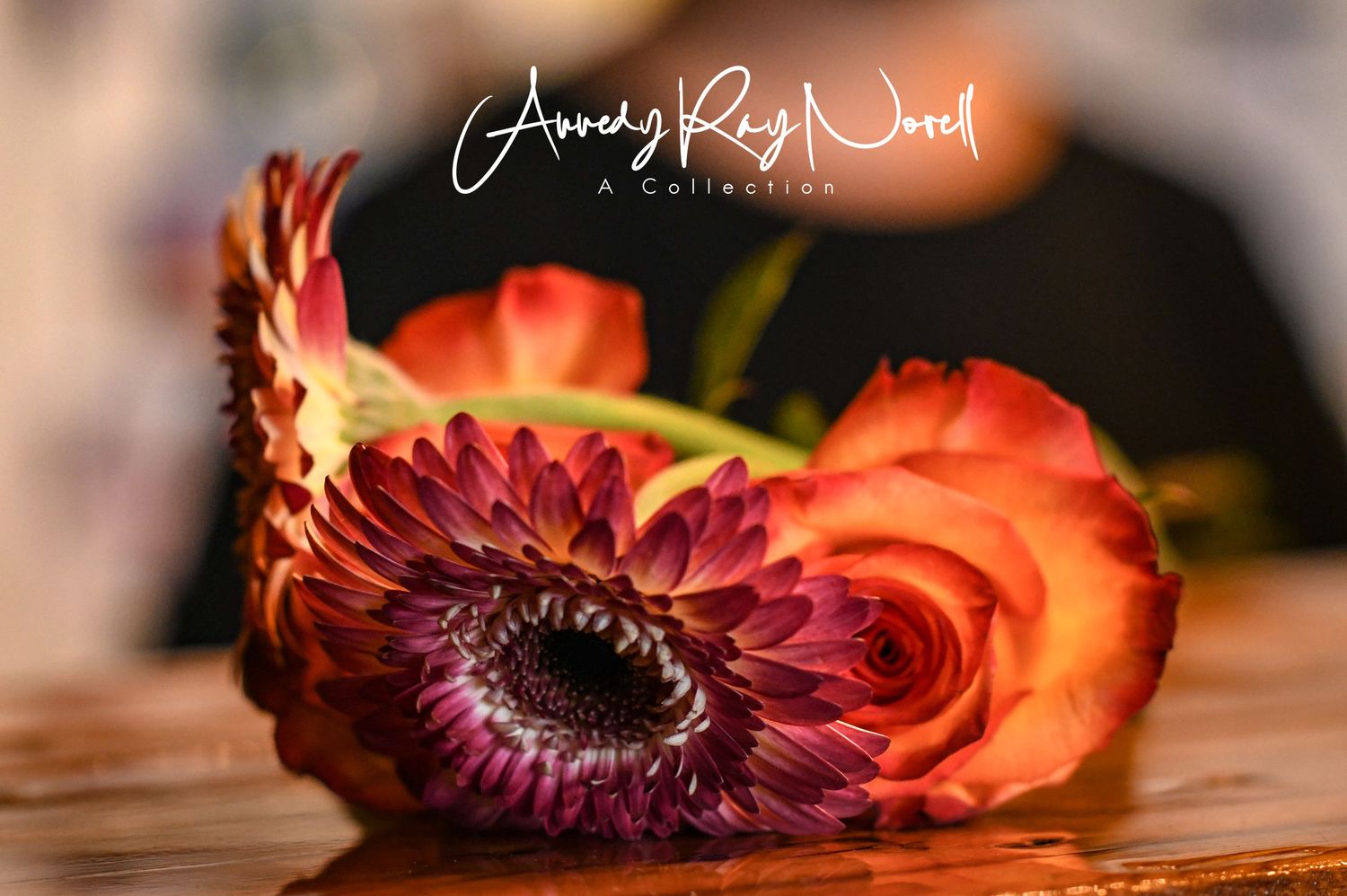 Close-up macro photography of a vibrant red gerbera daisy flower with dark center on wooden surface.
