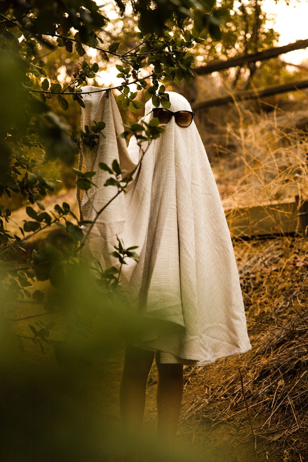 happy halloween photography