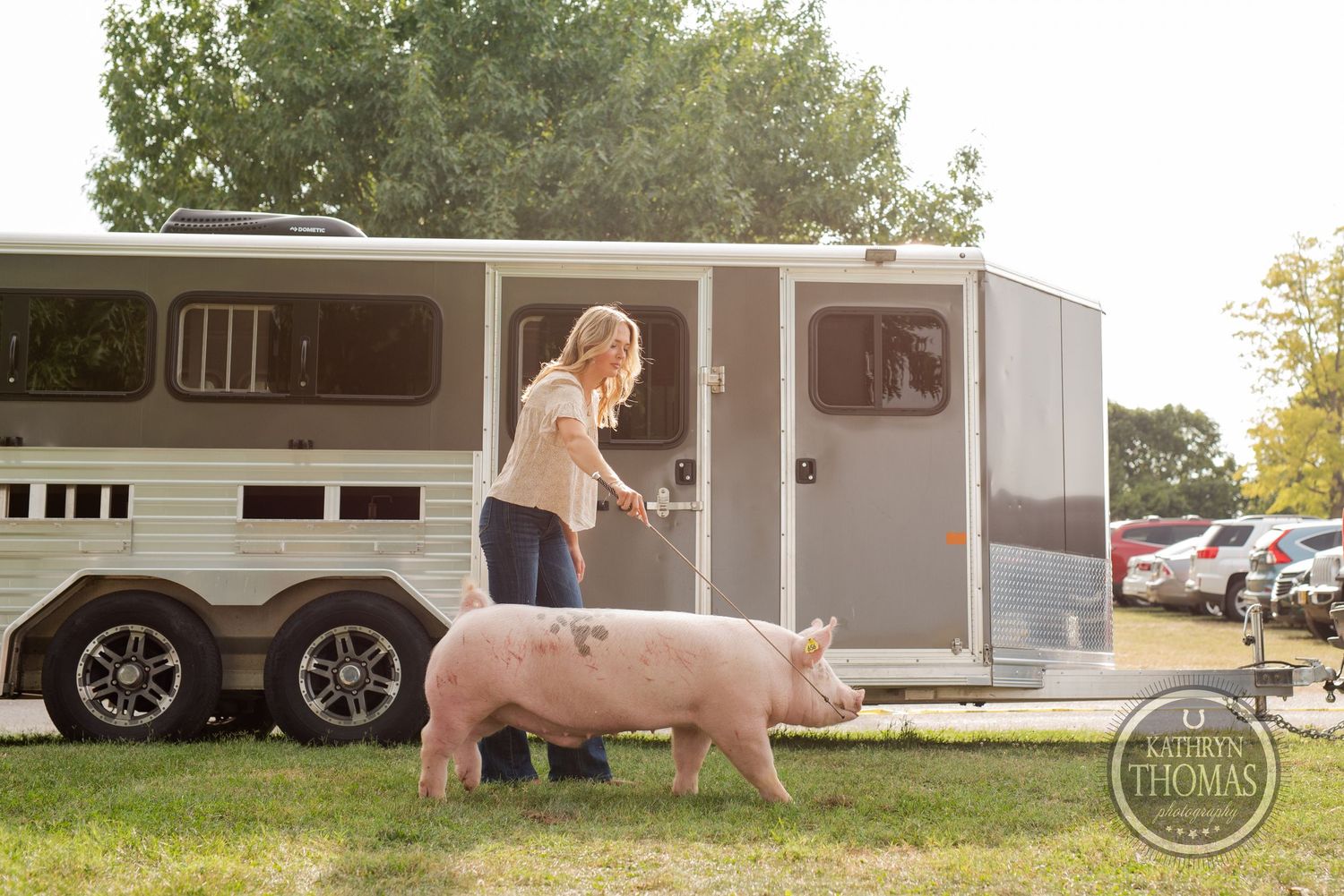 A pig stands near a horse trailer on grass while someone tends to it.