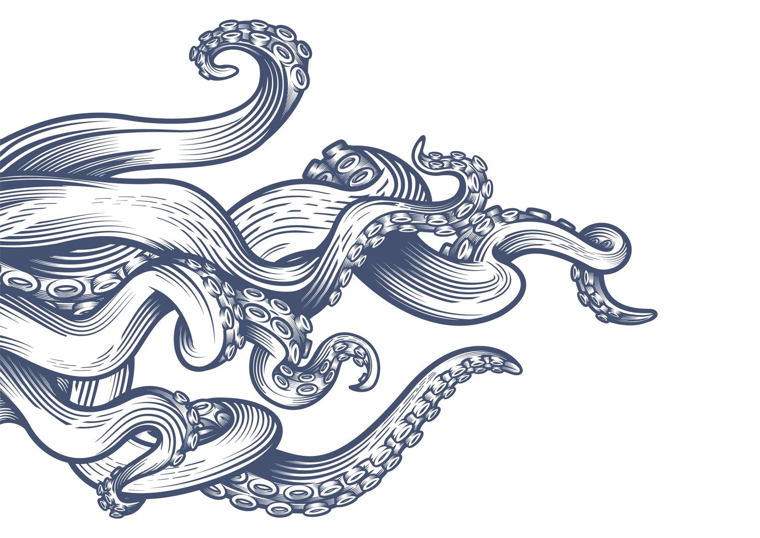 Line art illustration of an octopus tentacles with flowing curves and swirling patterns in a nautical style design.
