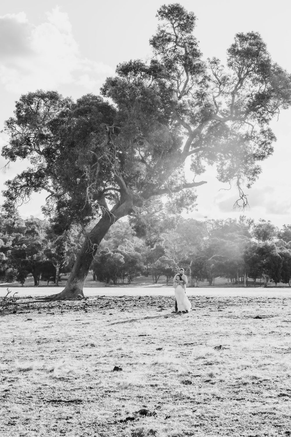 Black and white landscape photo of a field with sunlit trees and dramatic sky.