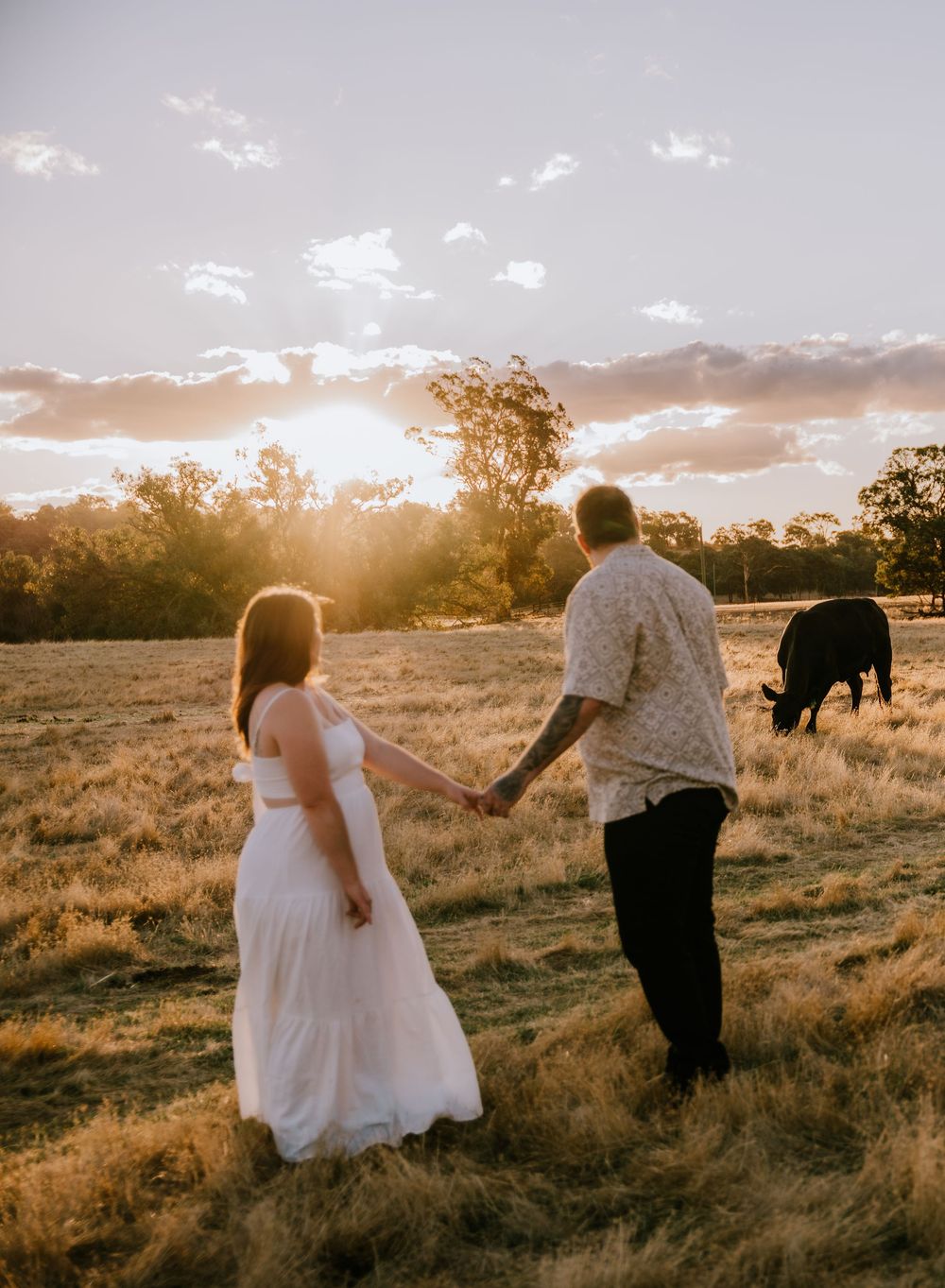 A couple stands in a golden field at sunset with a black cow grazing in the background.
