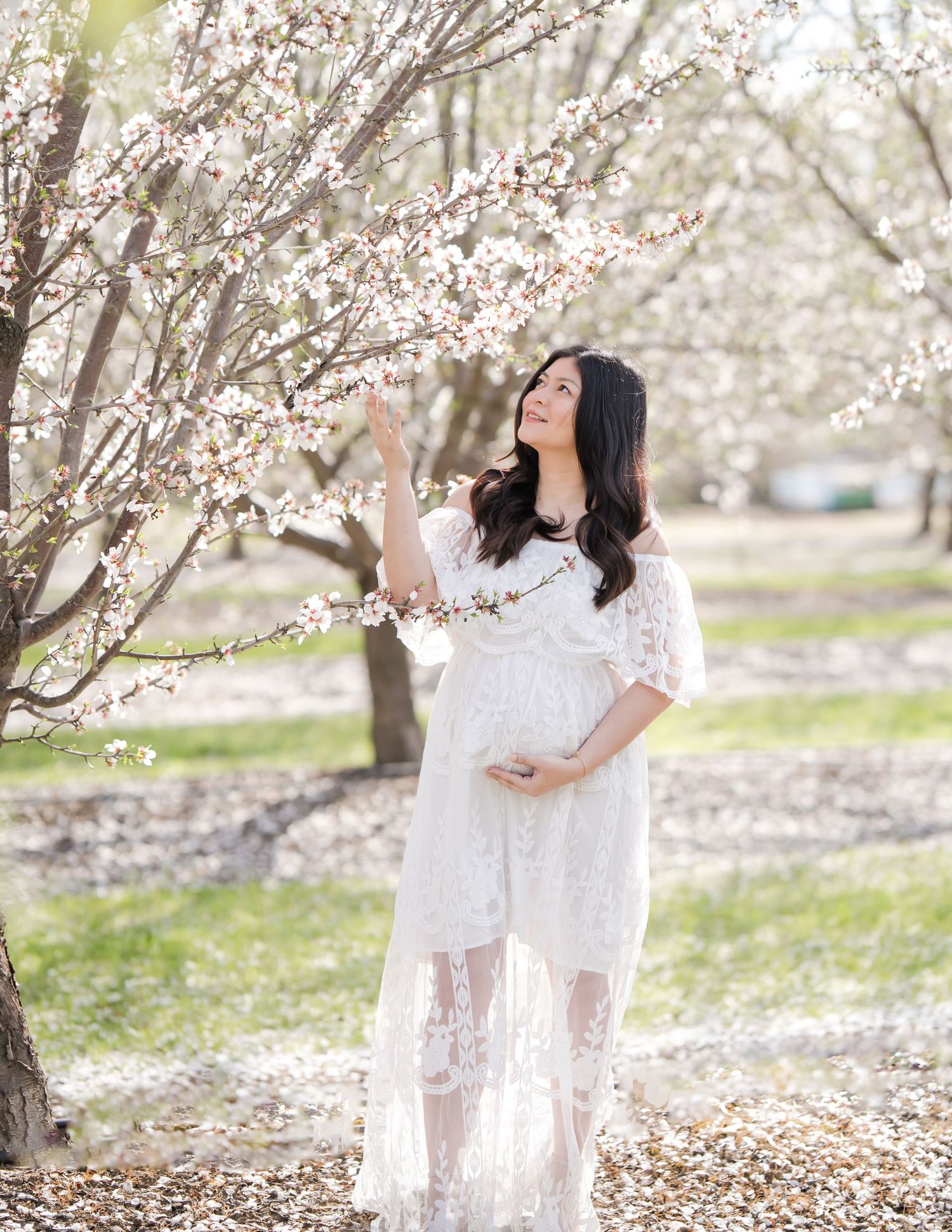 Pregnant woman gazing at her partner, with cherry blossoms surrounding them, evoking a sense of peace and anticipation for their new arrival