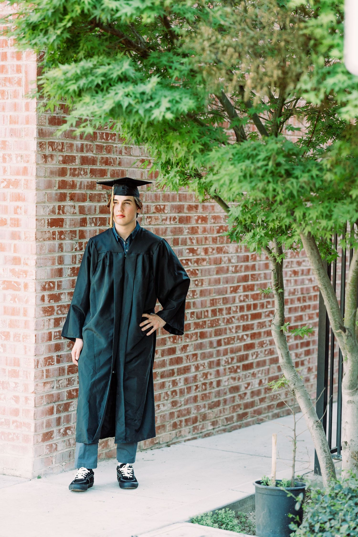 Giant green tree surrounding the high school graduate