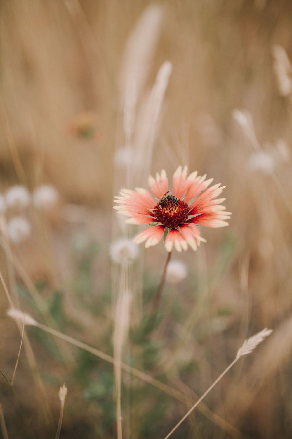 sanctuary gardens wedding