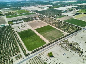 Bird's eye view of agricultural land showing a mix of green fields and orchards.
