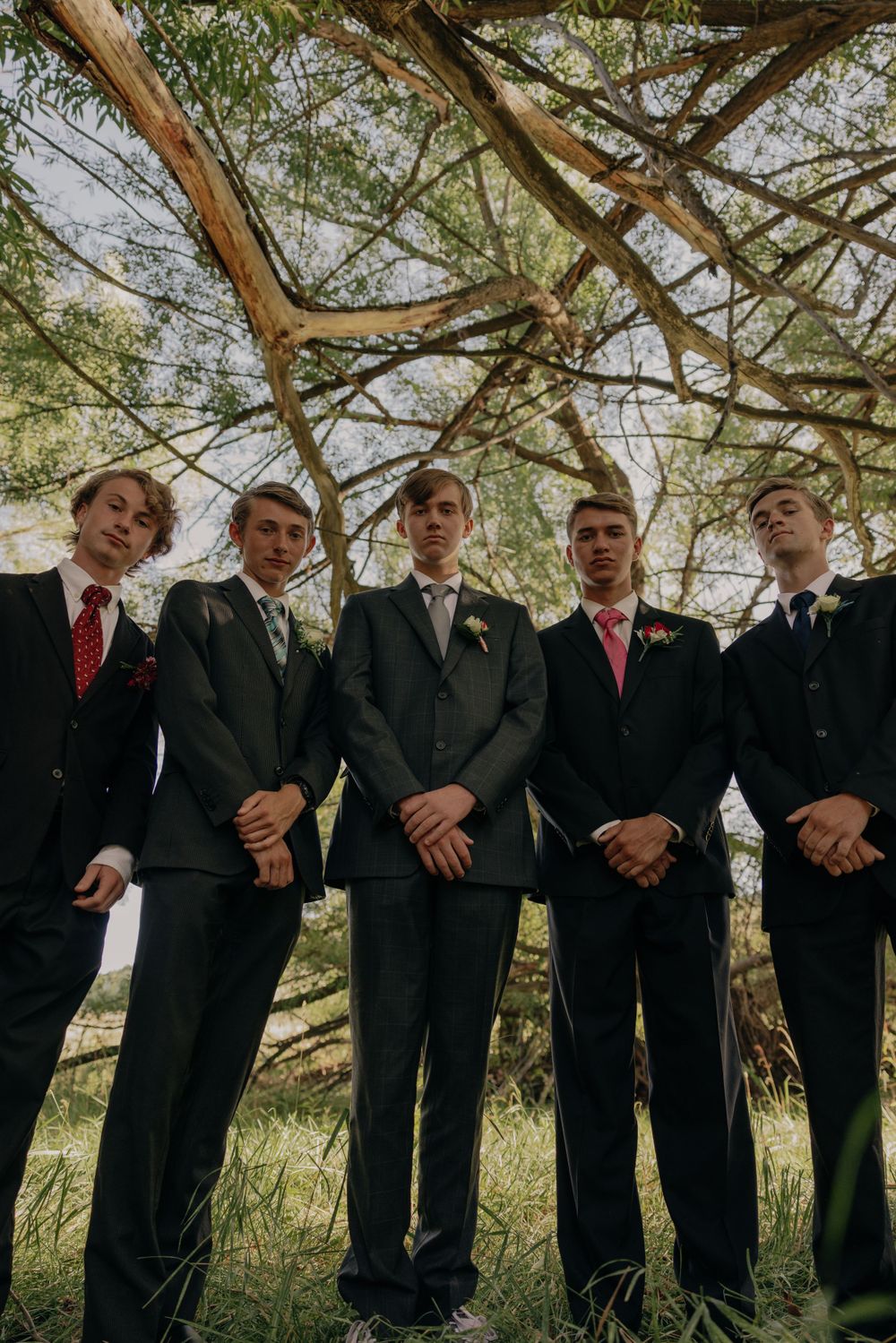 Five men in formal suits and ties stand beneath tree branches in a professional photo.