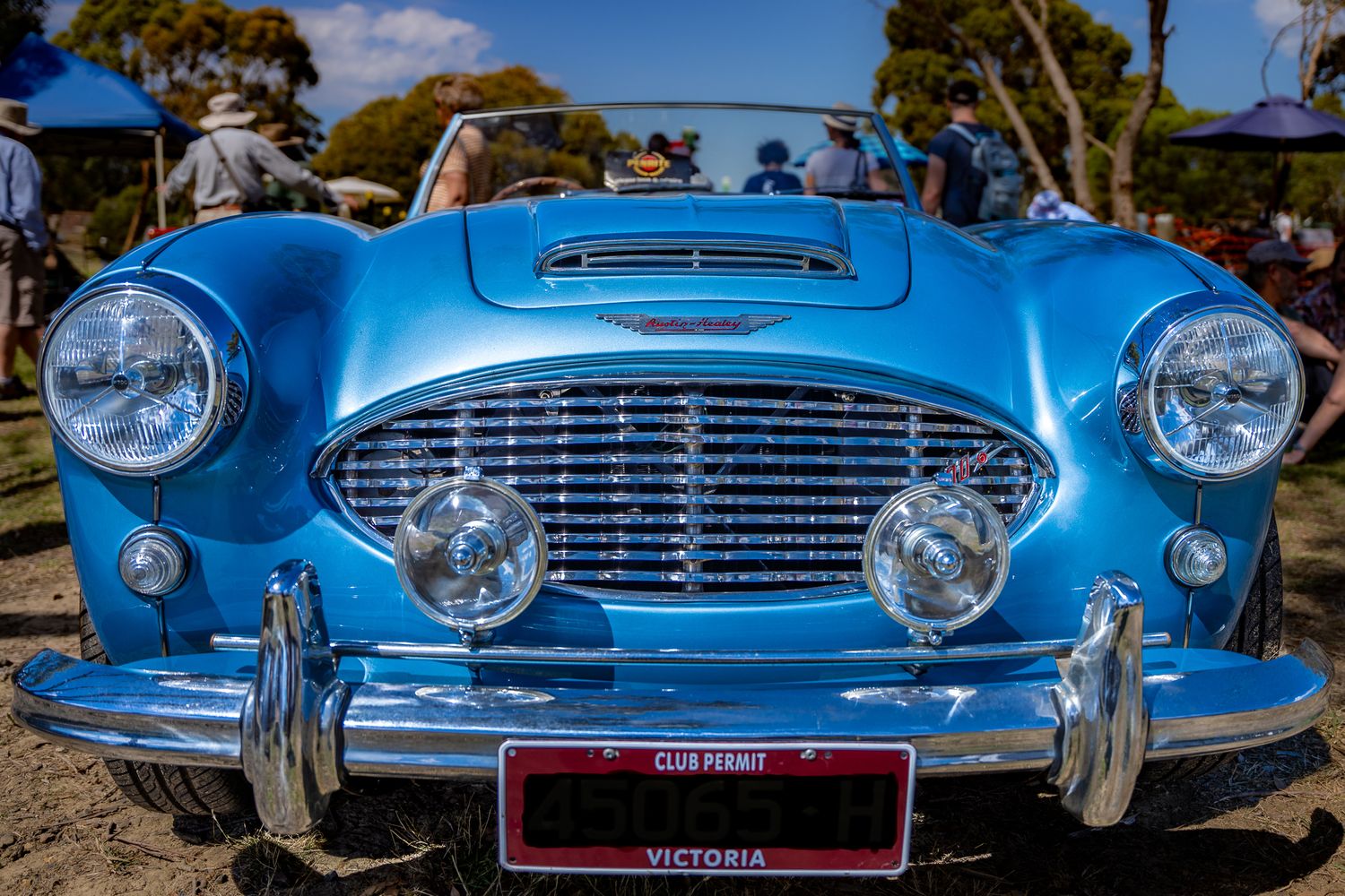 Front view of a classic blue Austin-Healey vintage sports car with chrome grille at a car show.